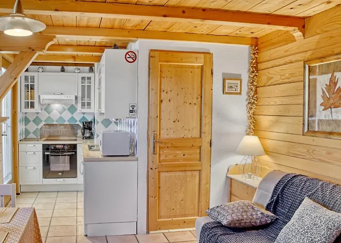 Appartement Privatif Type Chalet Cosy Et Calme